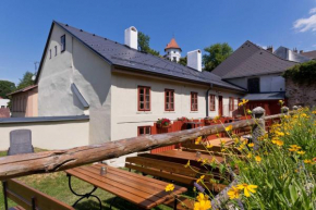 Měšťanský dům - kulturní památka Mlýnská 119 Jindrichuv Hradec